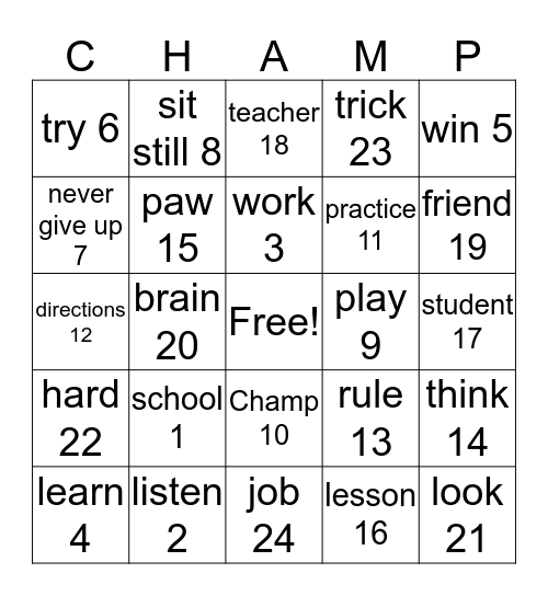 A School of Champions Bingo Card