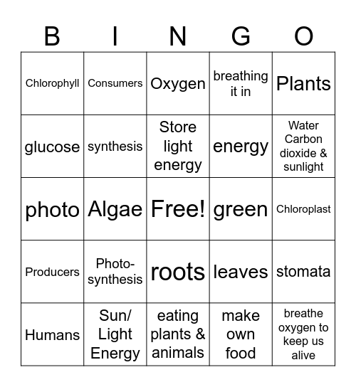 Photosynthesis Bingo Card