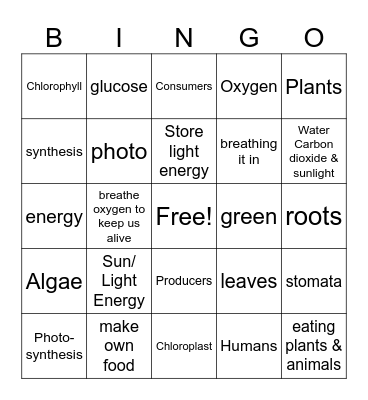 Photosynthesis Bingo Card