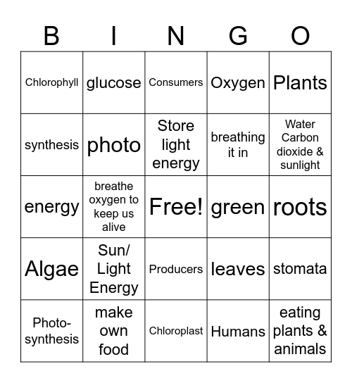 Photosynthesis Bingo Card