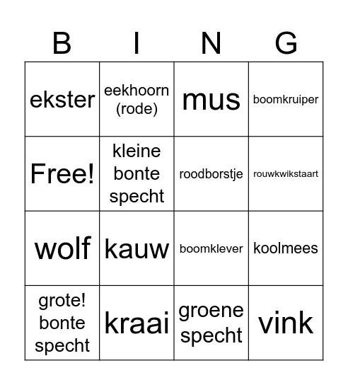 Bird Bingo Card