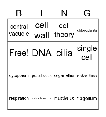 Cells Basic Functions 2026 Bingo Card