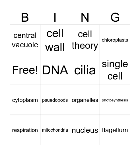 Cells Basic Functions 2026 Bingo Card