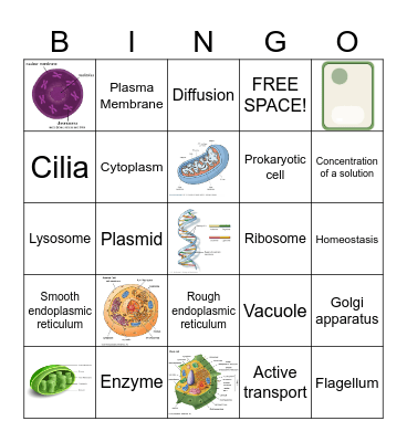 Cell BINGO Card