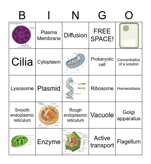 Cell BINGO Card