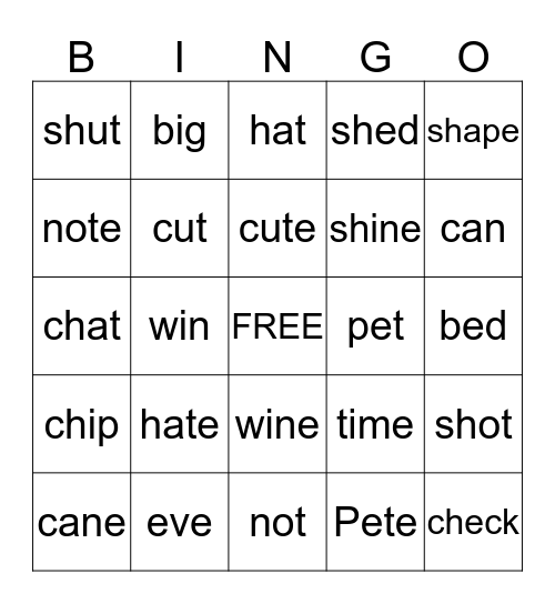 Camp Review 1/23-1/26 Bingo Card