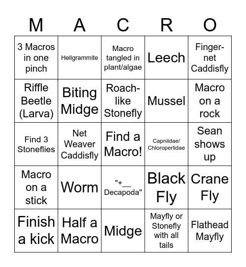 Lord/Lady of the Macros Bingo Card