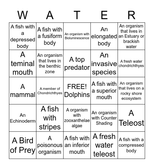 Aquarium Bingo Card