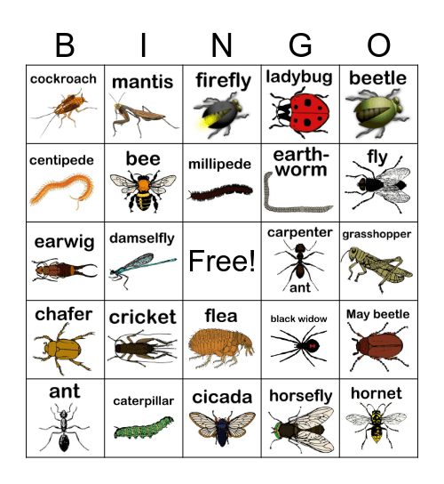 Bugs and Insects Bingo Card