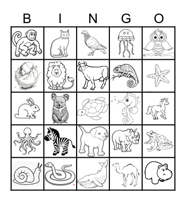 ANIMALS Bingo Card