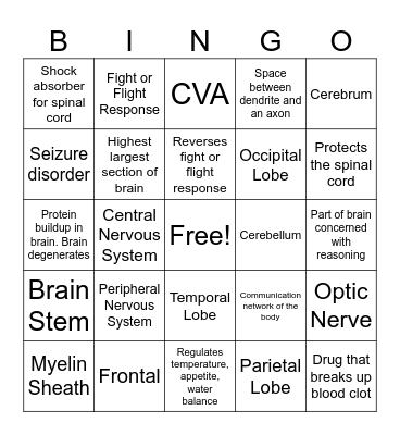 Nervous System Bingo Card