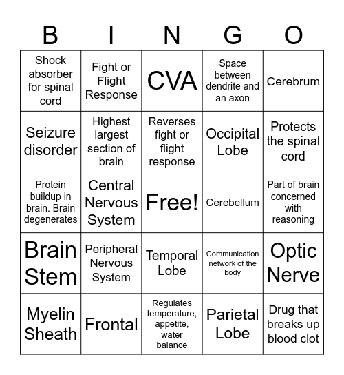 Nervous System Bingo Card