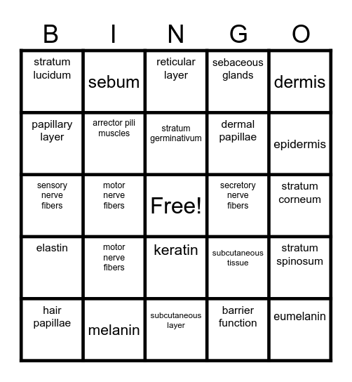 skin structure & growth Bingo Card