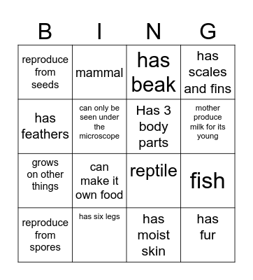 Diversity of Living Things Bingo Card