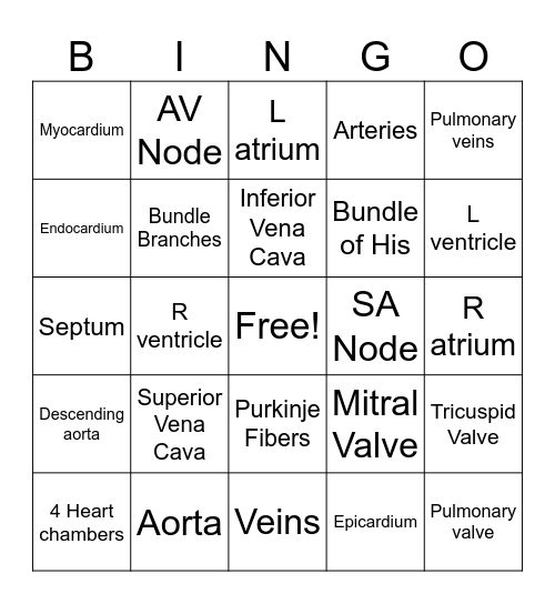 AHS-1200 Wk 1 Cardiovascular/conduction/blood path Bingo Card