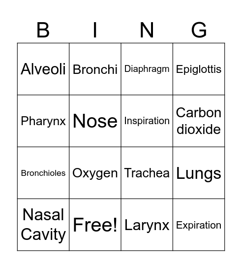 AHS-1200 Respiratory system Bingo Card