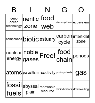 Benchmark 2 Review Bingo Card