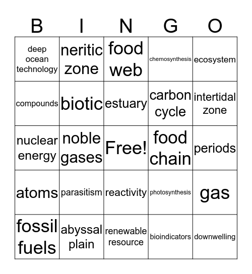 Benchmark 2 Review Bingo Card