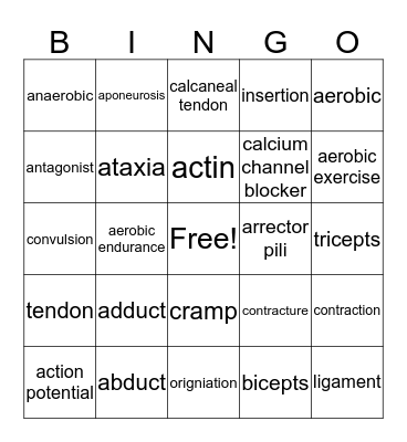 muscles 1 Bingo Card