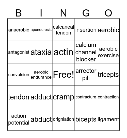 muscles 1 Bingo Card