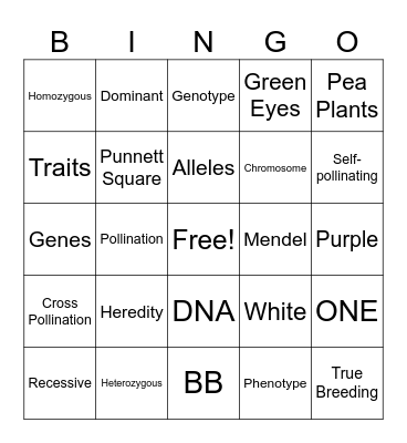 Genetics Vocab Bingo Card