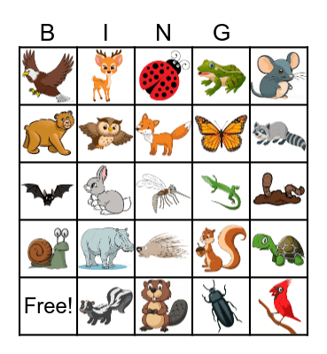Forest Animals Bingo Card