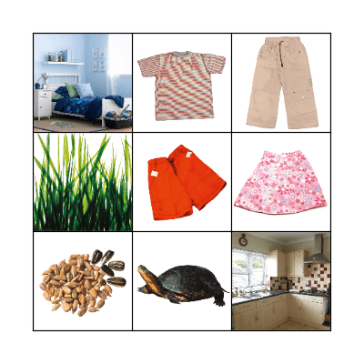 Clothes and animals Bingo Card