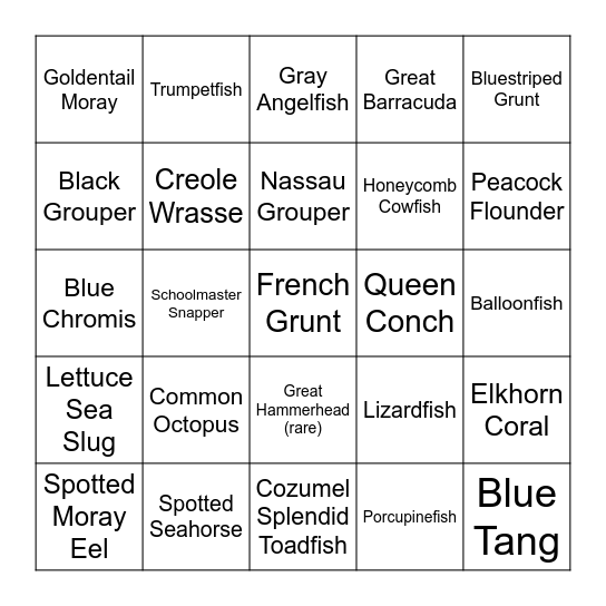 Cozumel Fish Bingo Card