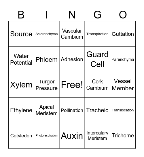 PLANT BIOLOGY GRADE11 Bingo Card