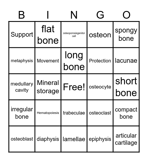 Skeletal System part 1 SI Bingo Card