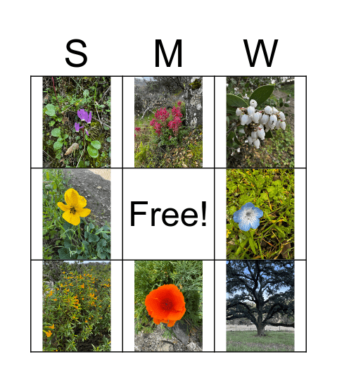 Suisun Marsh Water Shed Bingo Card