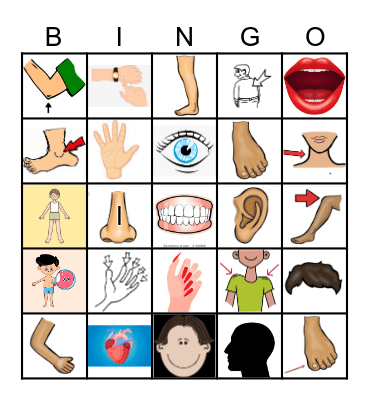 BODY PARTS: English Bingo Card