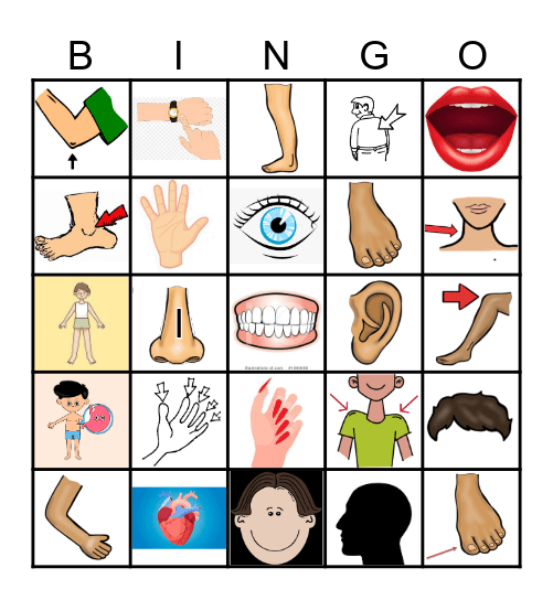 BODY PARTS: English Bingo Card