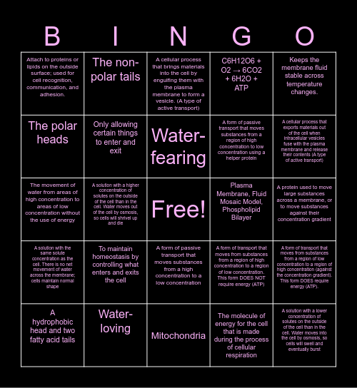 Cell Transport Bingo Card