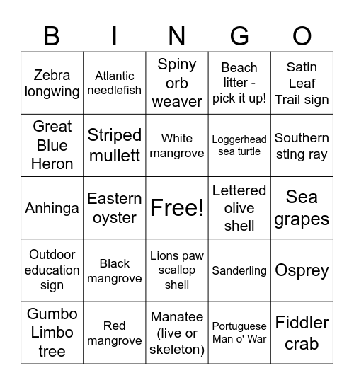 John D. MacArthur Bingo Card