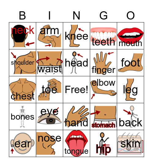 Body Part Bingo Card