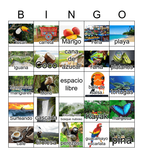 COSTA RICA - PURA VIDA Bingo Card
