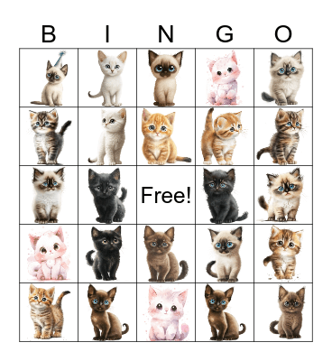 Cats Bingo Card