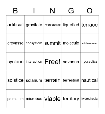 Vocab Unit 4 Bingo Card