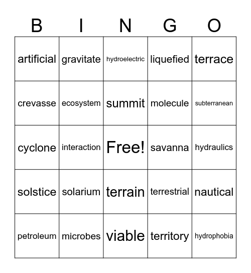 Vocab Unit 4 Bingo Card