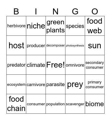 FOOD CHAINS & FOOD WEBS Bingo Card