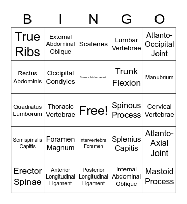 Functional Anatomy Exam #2 Review Bingo Card