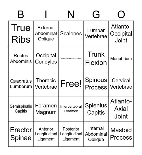 Functional Anatomy Exam #2 Review Bingo Card