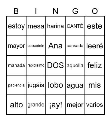 CLASES DE PALABRAS Bingo Card