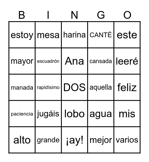 CLASES DE PALABRAS Bingo Card