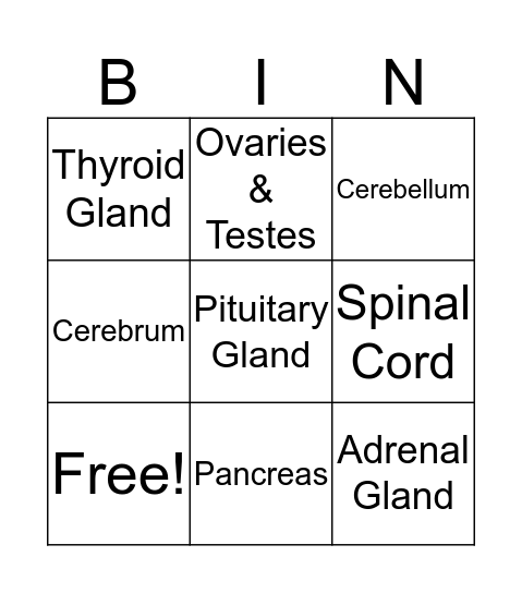 Endocrine & Nervous System Bingo Card