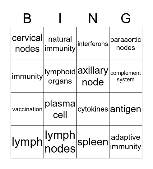 Lymphatic & Immune System Bingo Card