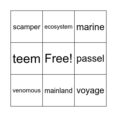 Vocabulary Bingo Card