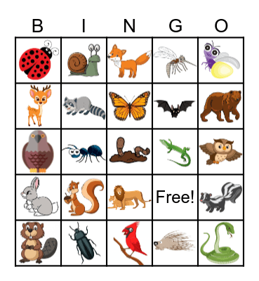 Forest Animals/Insects Wild Bingo! Bingo Card
