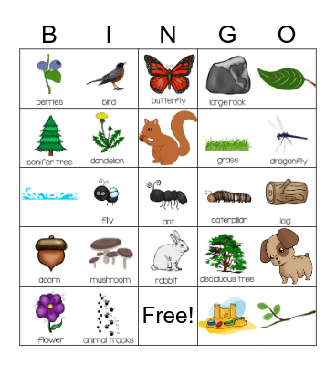 Nature Bingo Card